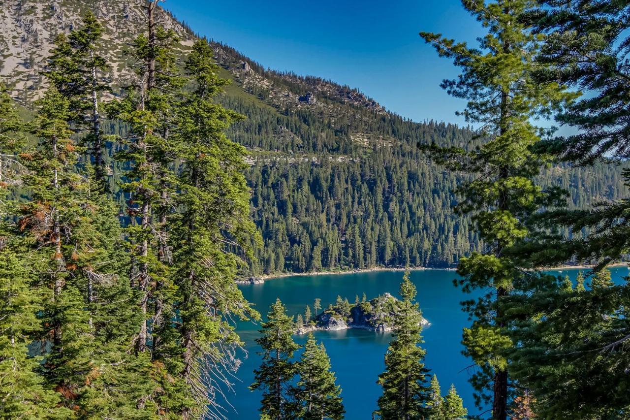 Cozy Cabin Retreat South Lake Tahoe Zewnętrze zdjęcie