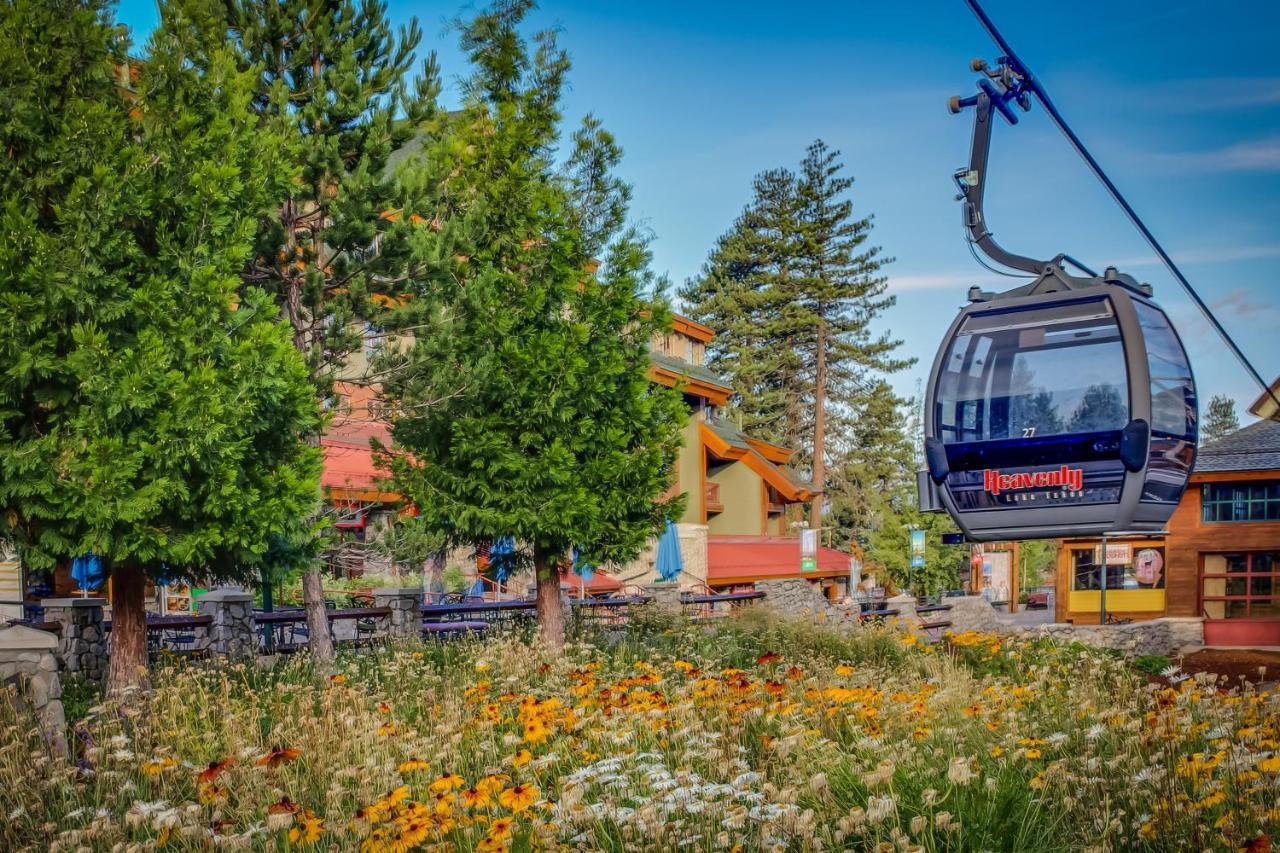 Cozy Cabin Retreat South Lake Tahoe Zewnętrze zdjęcie