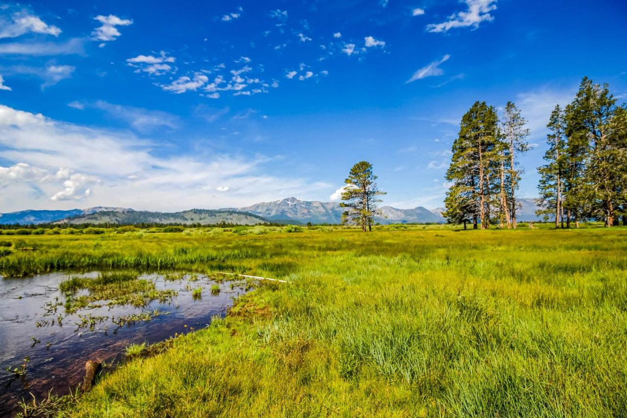 Cozy Cabin Retreat South Lake Tahoe Zewnętrze zdjęcie